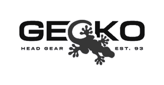 Log Gecko Log Gecko